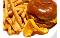 PLAIN CHEESEBURGER WITH FRIES